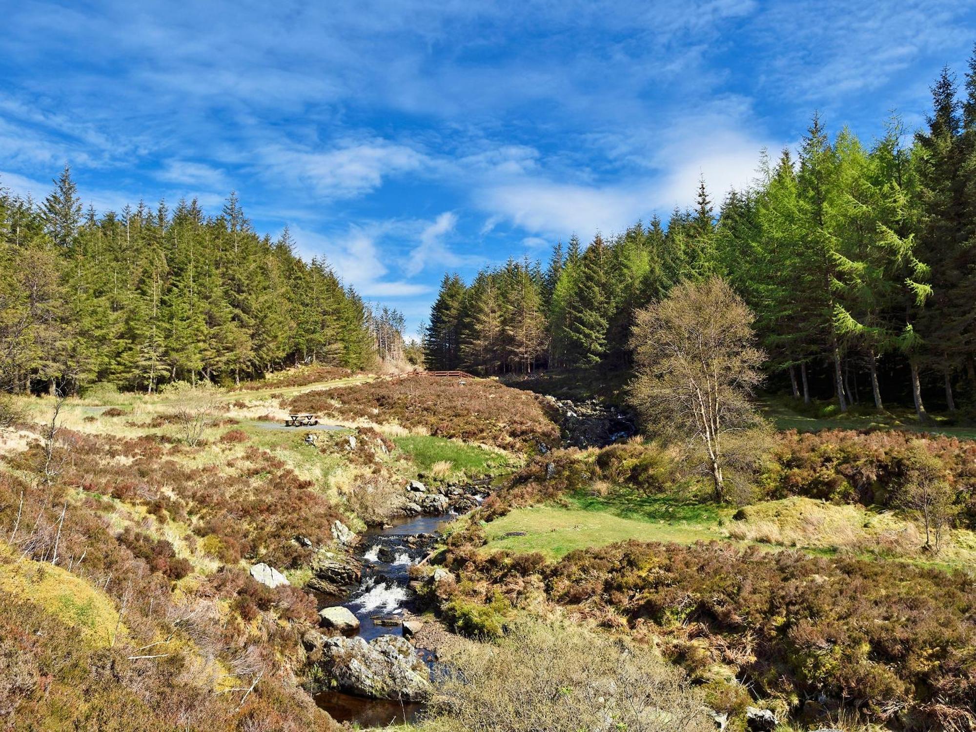 Wylies Brae Βίλα New Galloway Εξωτερικό φωτογραφία